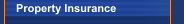 Property Insurance